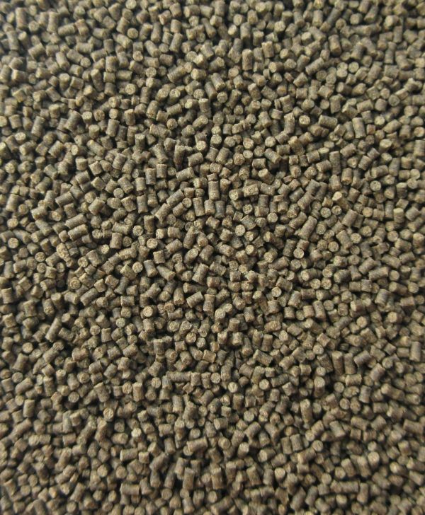 LAONE (MONODON)