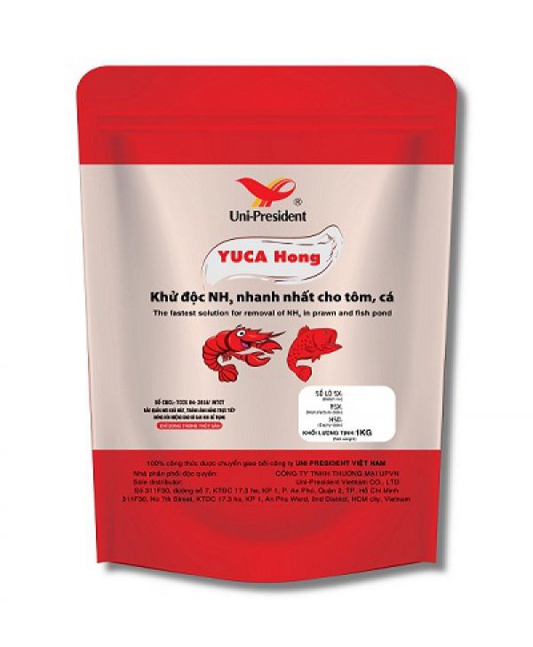 YUCA Hong