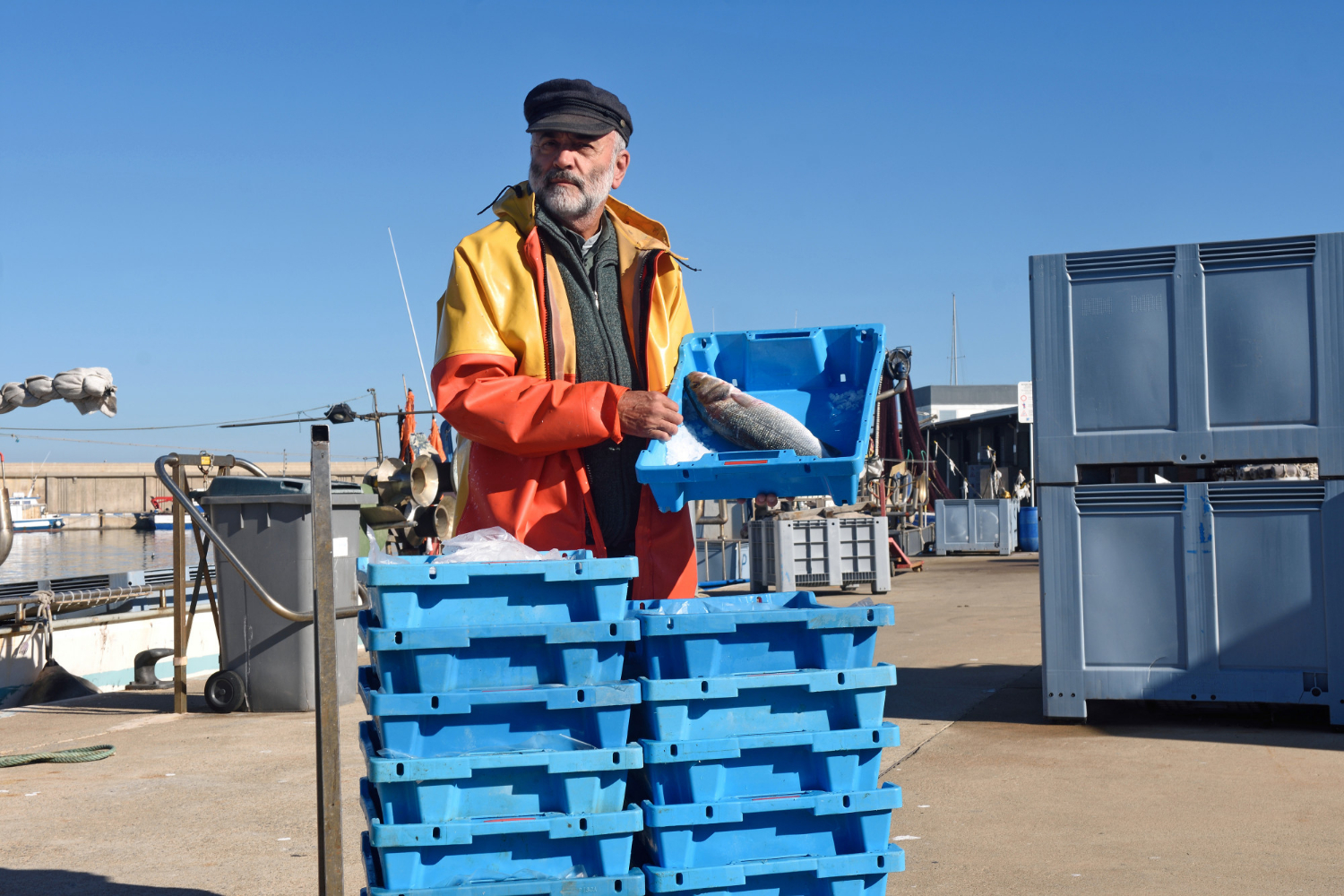 Logistics team handling seafood cargo
