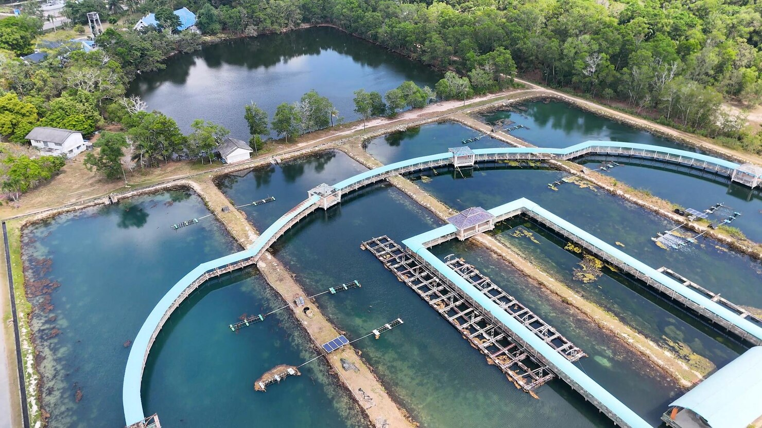 Aquaculture Industry