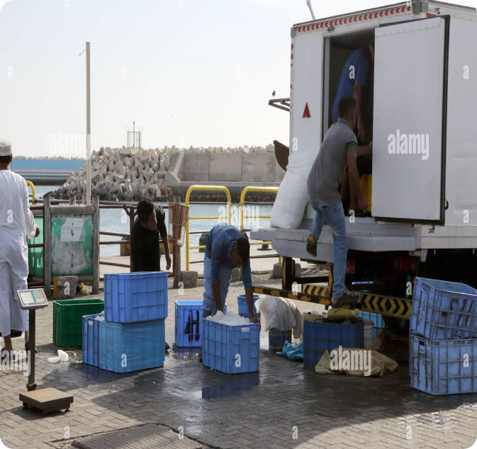 Distribution service logistics